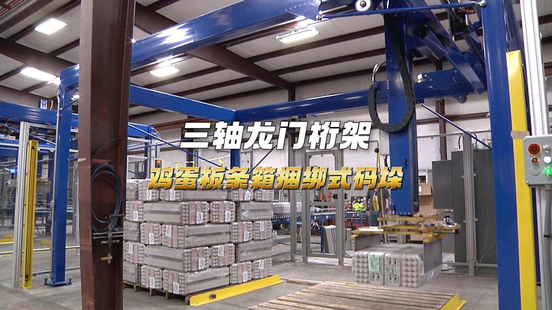 10 鸡蛋板条箱码垛三轴龙门桁架-封面.jpg